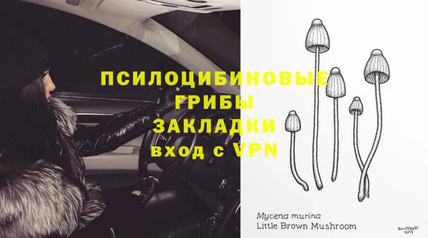 ALPHA-PVP Пересвет