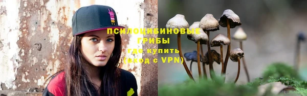 бошки Касимов
