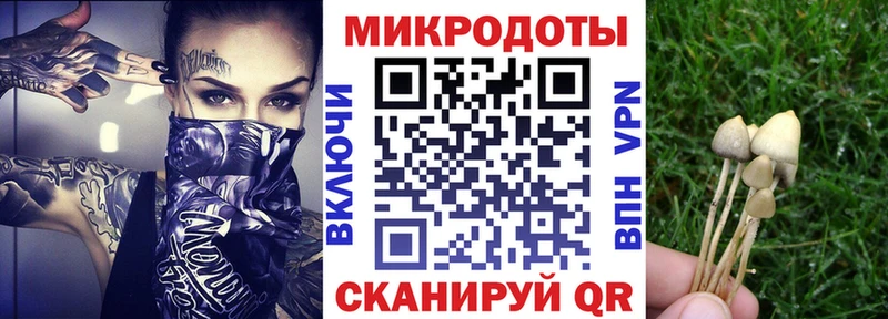 Псилоцибиновые грибы мухоморы  Александровск 