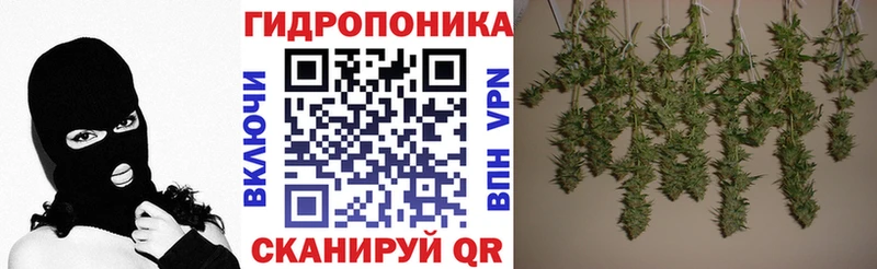 МАРИХУАНА сатива  где найти   Александровск 